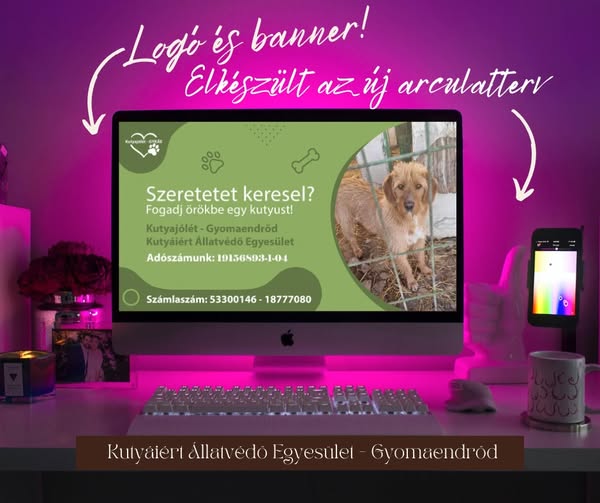 Állatvédő Egyesület grafikai csomag