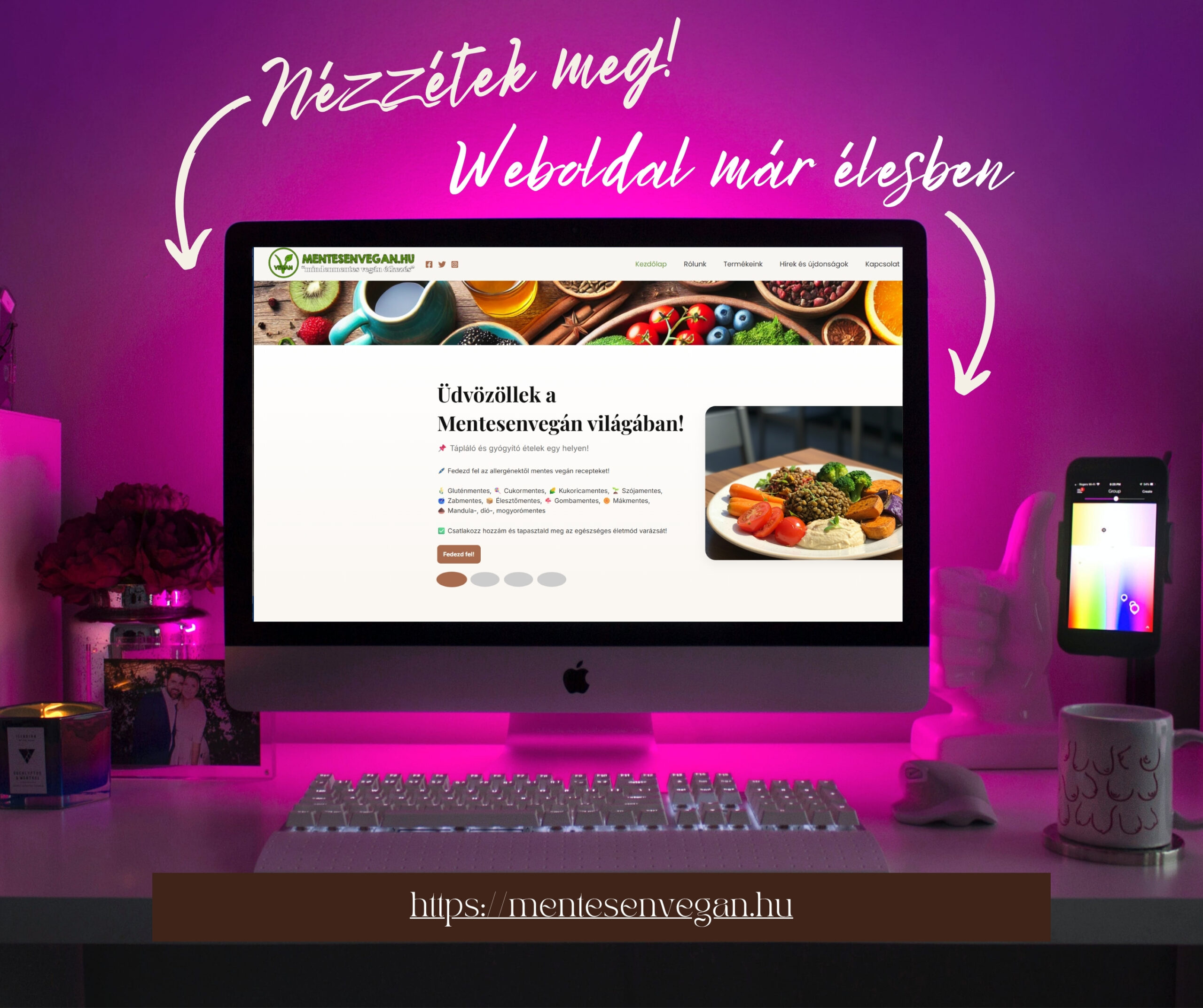 Robi Gépi földmunka projekt